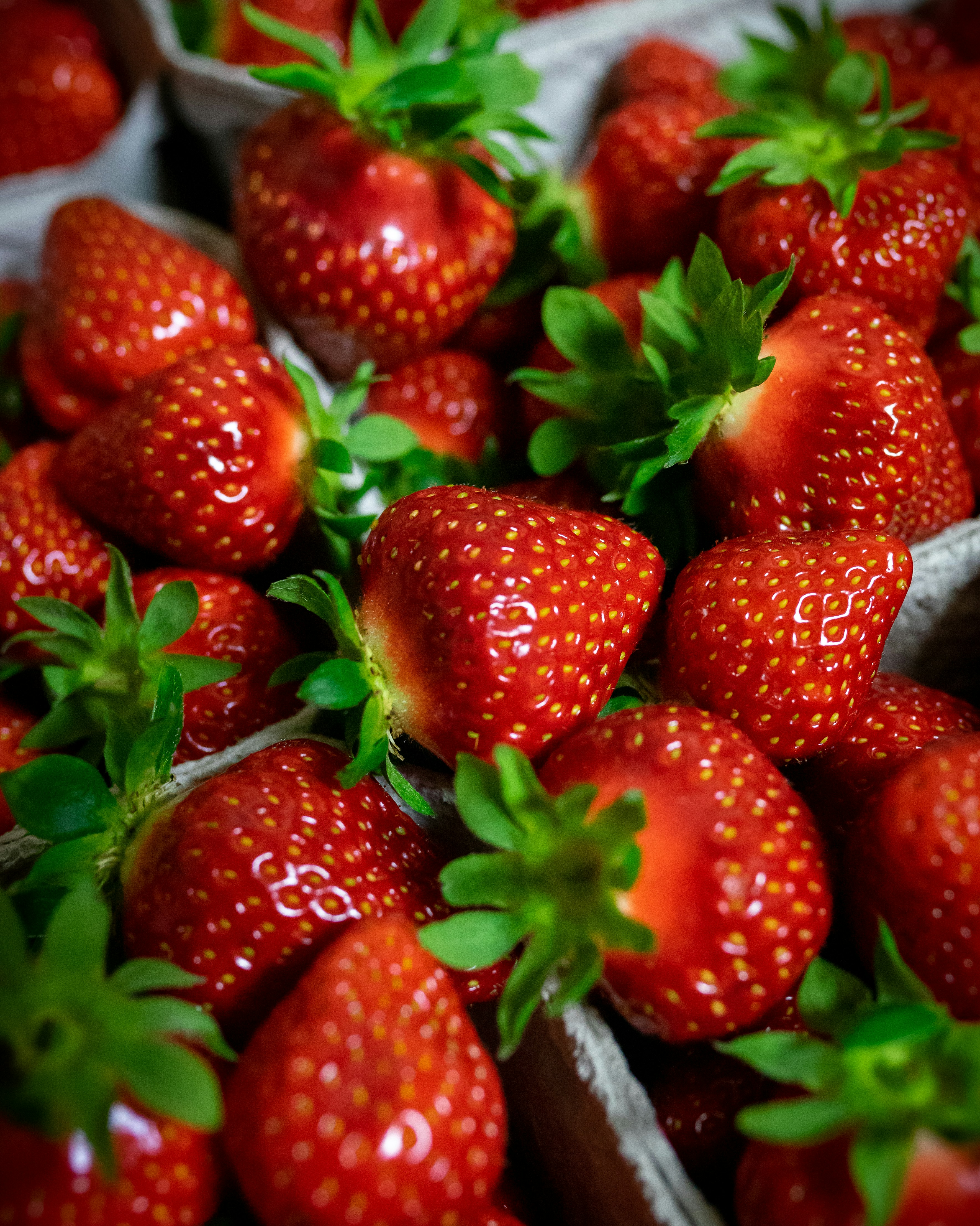 Домашні молочні продукти